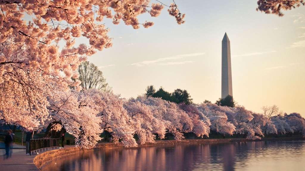 Grand Hyatt Washington Hotel Buitenkant foto